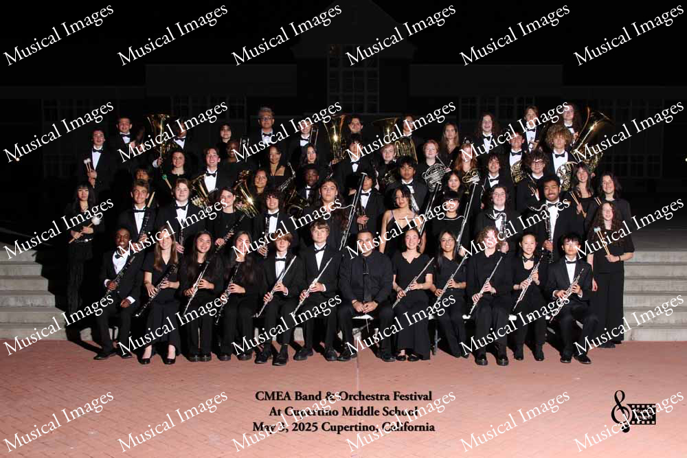 Musical Images